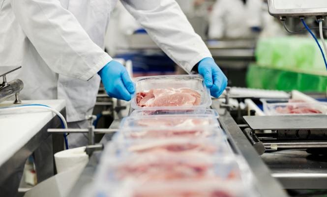 Food Processing